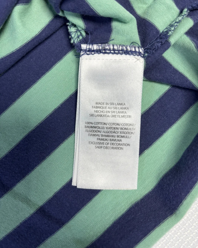 Polo Ralph Lauren Blue and Green Striped Pocket T-Shirt