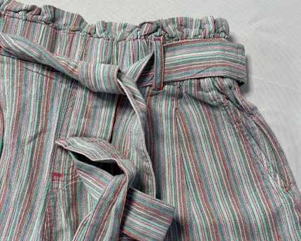 American Eagle Multicolor Striped High-Waisted Paperbag Shorts
