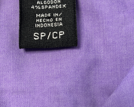 Apostrophe Purple Long Sleeve Button Down Shirt