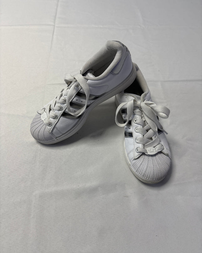 SH-00261-1310-SH-DS5001-extra