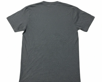 Gildan Grey Wild and Free Reckless Tiger Graphic Tee