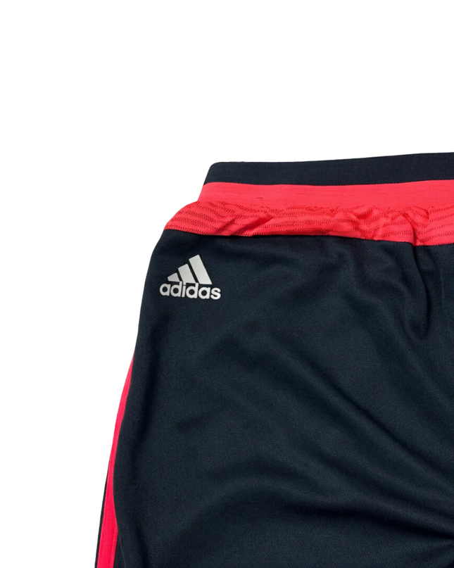 Adidas Black FC Bayern Munich Champions League Training Pants
