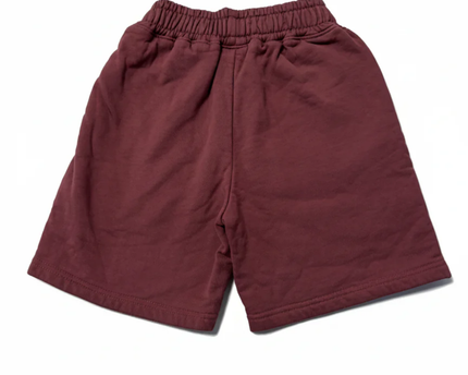 Alo Mauve Unisex Fleece Lounge Shorts