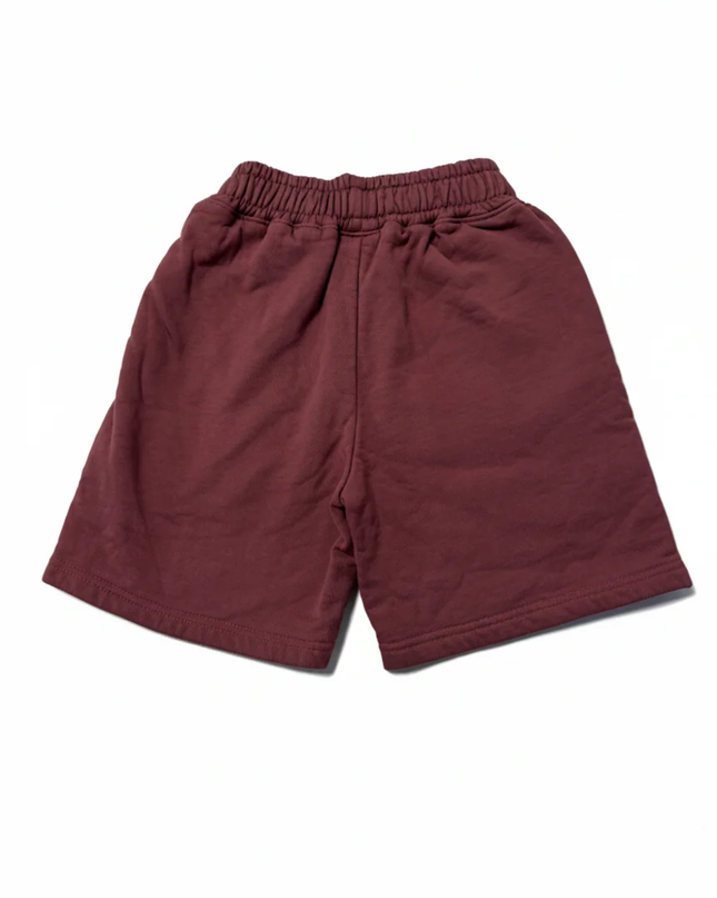 Alo Mauve Unisex Fleece Lounge Shorts