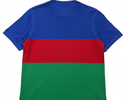 Polo Ralph Lauren Multicolor Colorblock Logo Polo Shirt