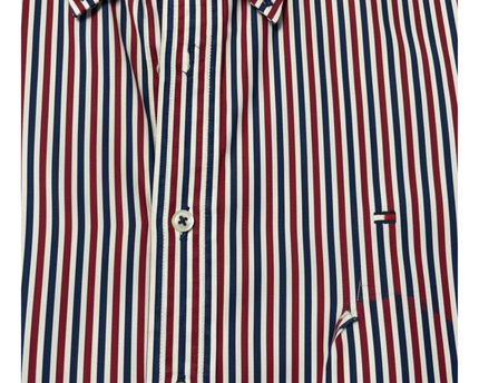 Tommy Hilfiger Multicolor Striped Custom Fit Shirt
