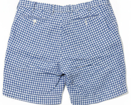 Polo by Ralph Lauren Blue Gingham Straight Fit Shorts