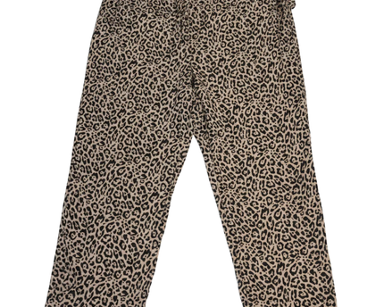 American Eagle Leopard Print Elastic Waist Viscose Pants