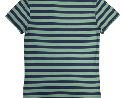 Polo Ralph Lauren Blue and Green Striped Pocket T-Shirt