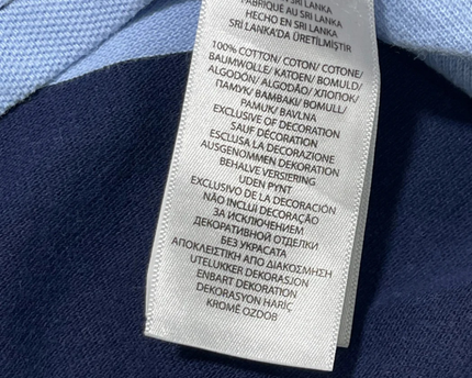 Polo Ralph Lauren Blue Striped Custom Slim Fit Polo Shirt