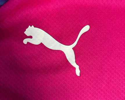 Puma Pink Long Sleeve Graphic Training Jersey