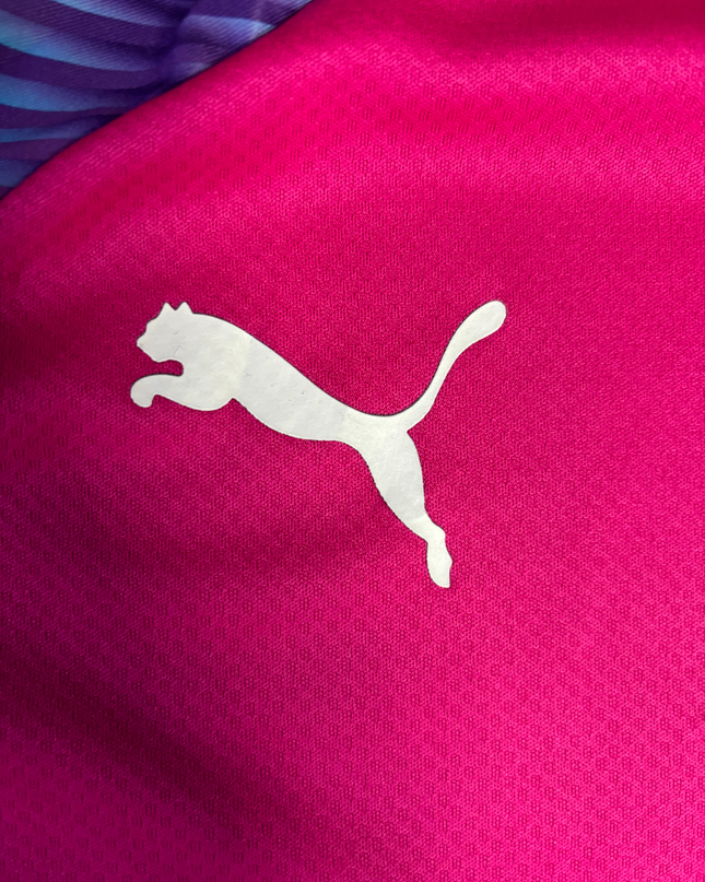 Puma Pink Long Sleeve Graphic Training Jersey