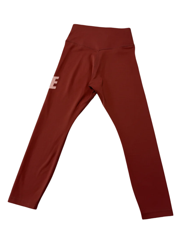 Nike Reddish Brown Dri-FIT Performance Leggings
