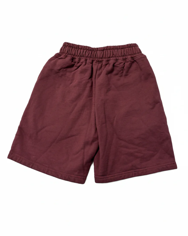 Alo Burgundy Unisex Lounge Shorts