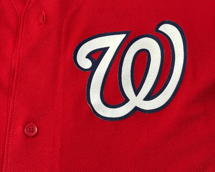 Majestic Red Washington Nationals Dwyer #64 Baseball Jersey