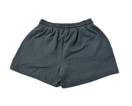 Alo Yoga Dusty Blue Fleece Sweat Shorts