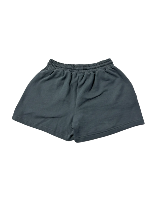 Alo Yoga Dusty Blue Fleece Sweat Shorts