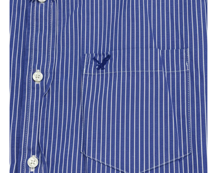 American Eagle Blue and White Striped Button Down Shirt