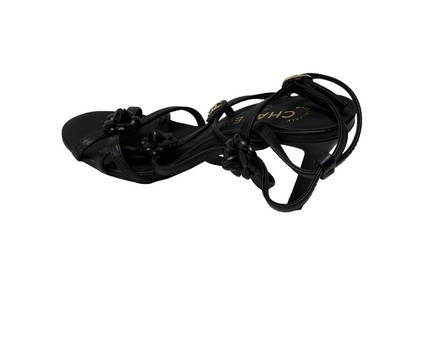 SH-00246-HEL-3PDL4001-back