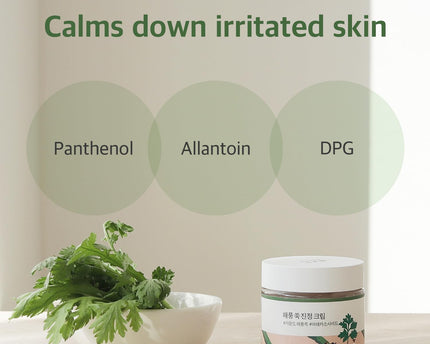 Round Lab Mugwort Calming Cream 80ml