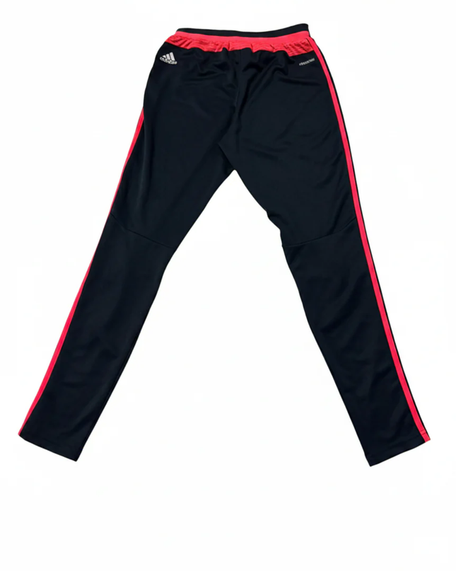 Adidas Black FC Bayern Munich Champions League Training Pants