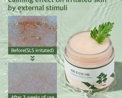 Round Lab Mugwort Calming Cream 80ml
