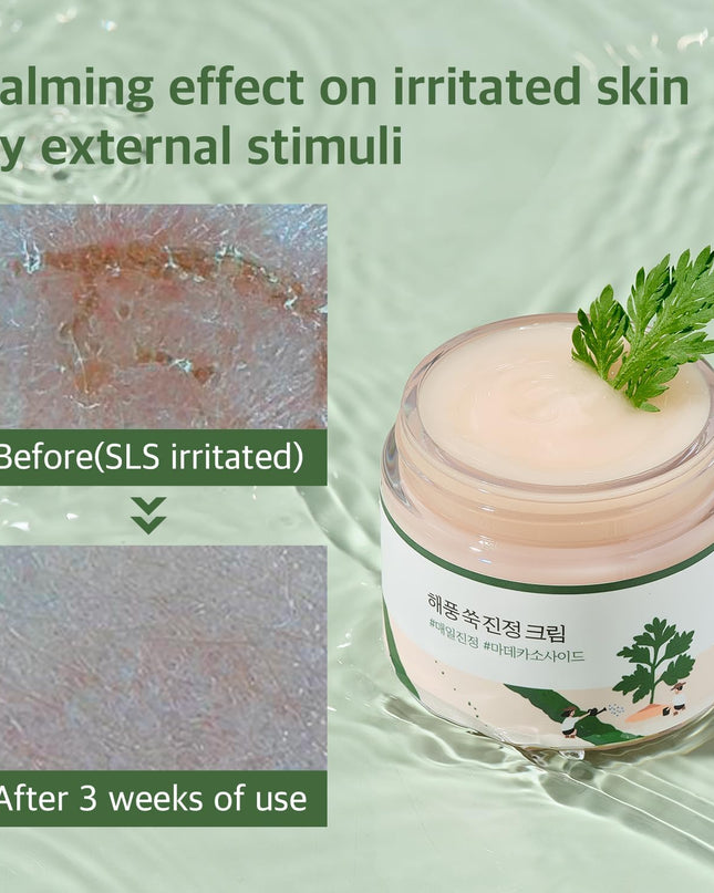 Round Lab Mugwort Calming Cream 80ml
