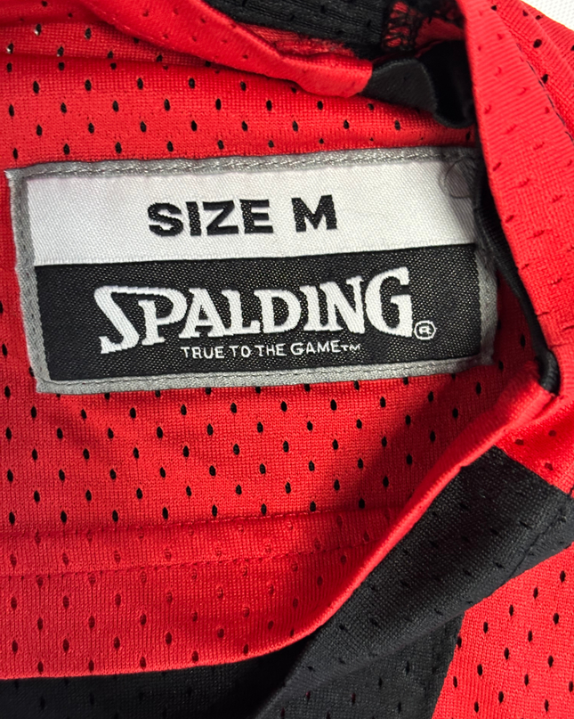 Spalding Slovenia National Team Basketball Training Jersey