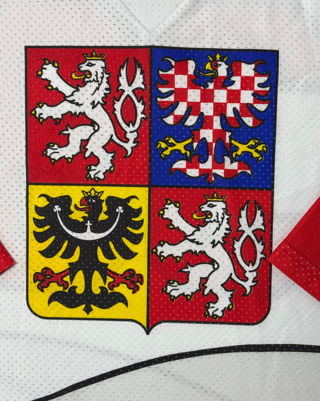 Collectible Czech Republic Dominik Hasek #39 Ice Hockey Jersey