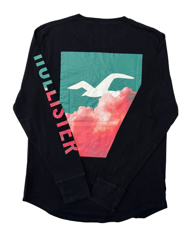 Hollister Gradient Logo Black Long Sleeve Graphic T-Shirt - M