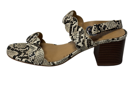 Market & Spruce Snakeskin Braided Block Heel Sandals