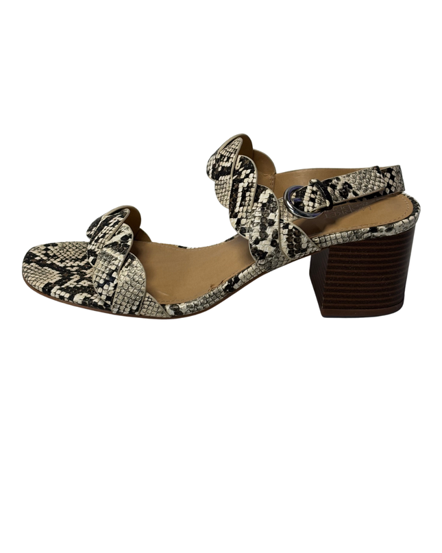 Market & Spruce Snakeskin Braided Block Heel Sandals