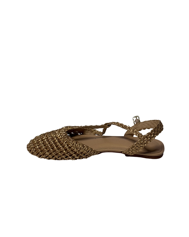 SH-00951-1443-3PRAN-001-back