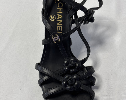 SH-00246-HEL-3PDL4001-details
