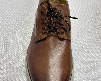 SH-00446-1310-SH-DS5001-details