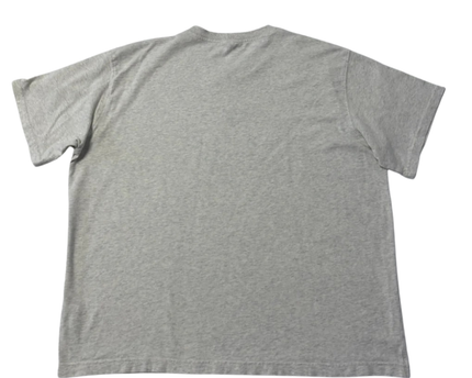 Reebok Grey Graphic Embroidered T-Shirt
