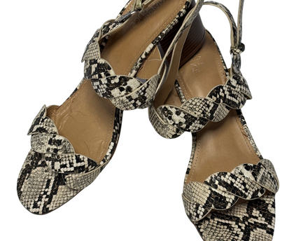 Market & Spruce Snakeskin Braided Block Heel Sandals