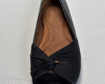 SH-00254-SHS-3PDN7001-details