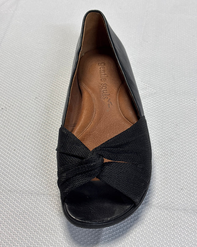 SH-00254-SHS-3PDN7001-details
