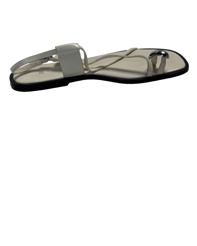 SH-00355-1310-SH-DS5001-back