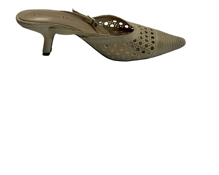 SH-00662-1339-3PDL4-004-back