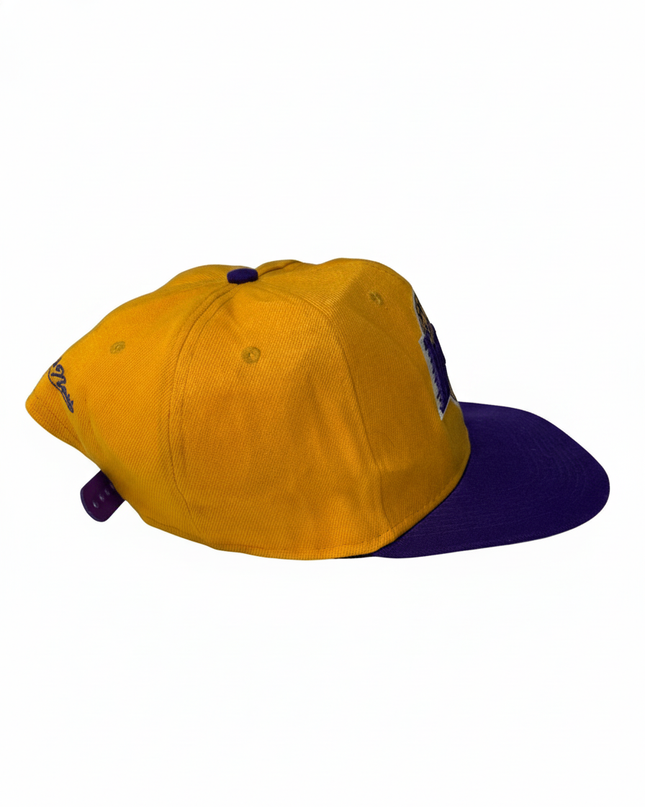 NBA Los Angeles Lakers Yellow Purple Snapback Cap