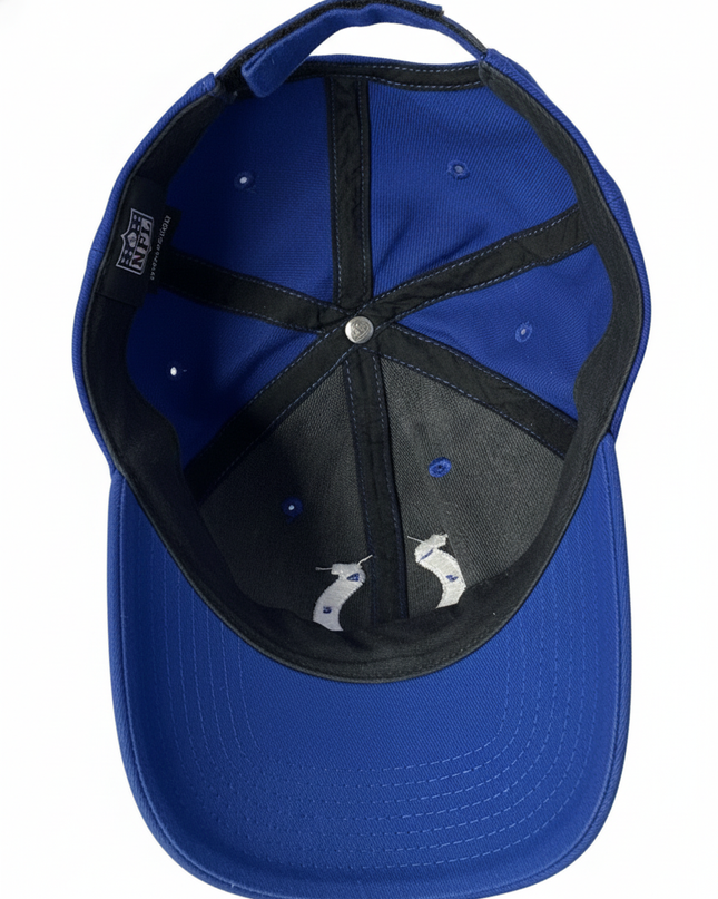 NFL Indianapolis Colts Embroidered Horseshoe Logo Blue Cap
