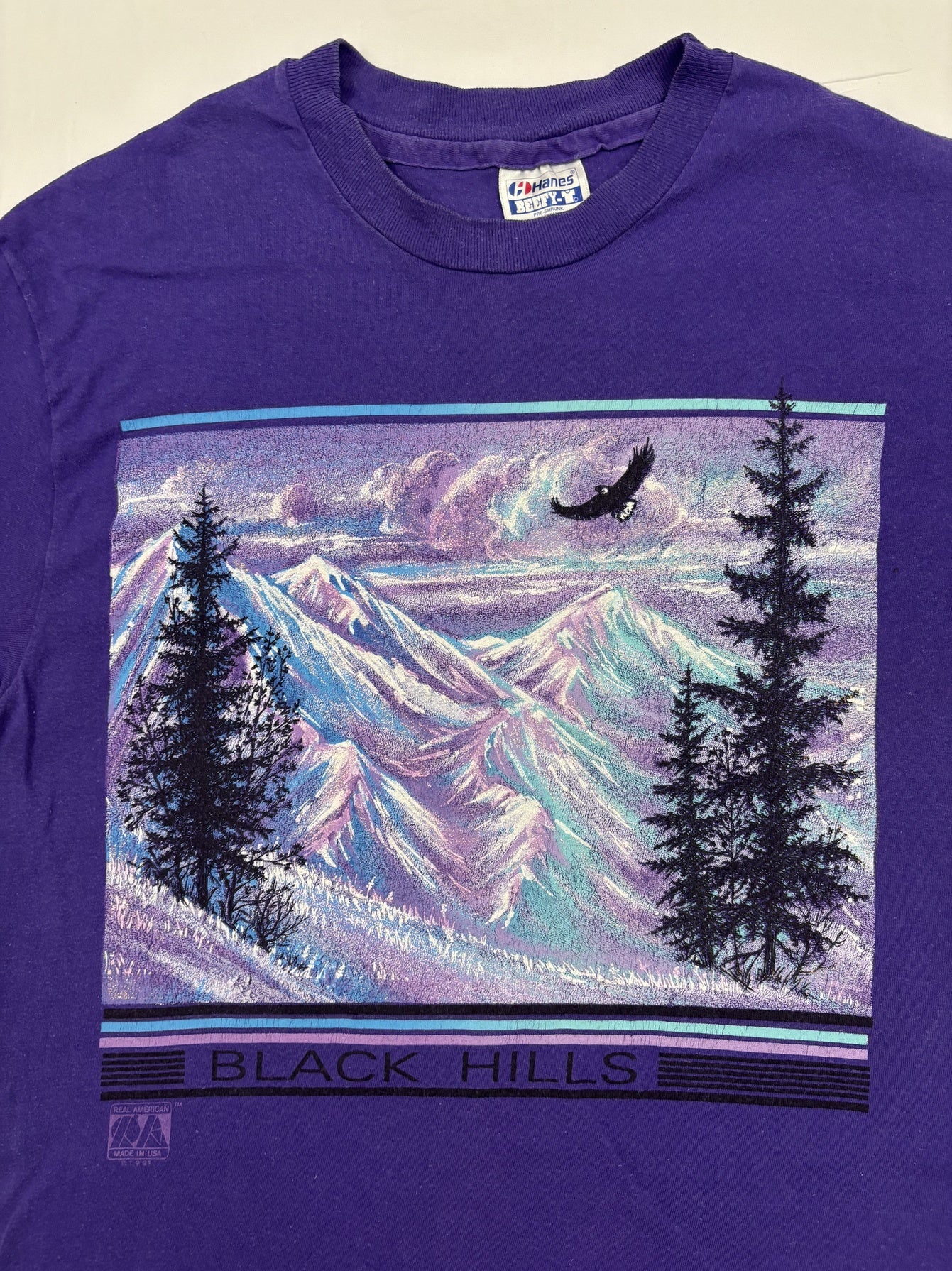 Hanes Beefy-T Black Hills Purple Scenic Graphic T-Shirt - S