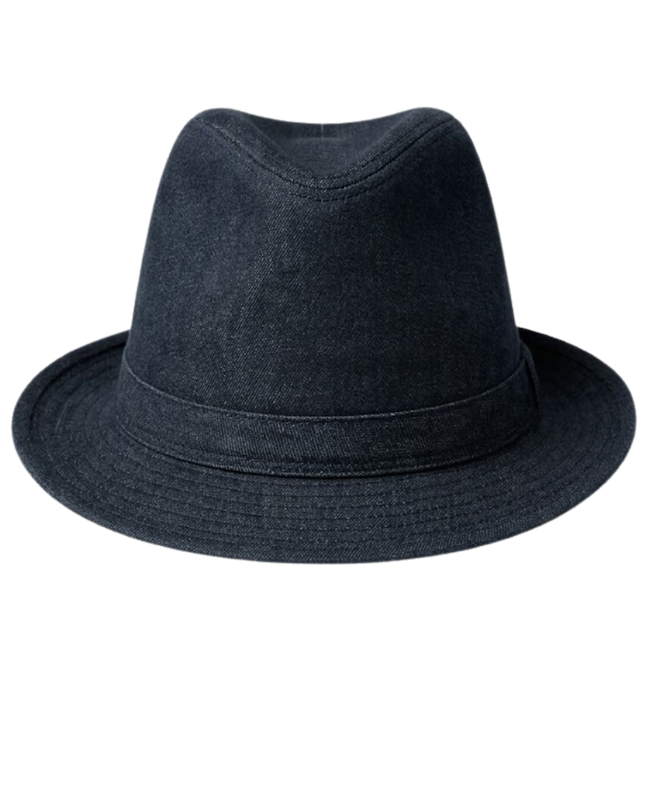 Zara Man Navy Blue Fedora Hat