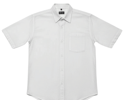 Dara Textured Cotton White Button-Up Shirt