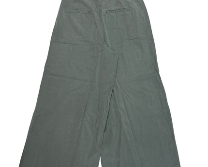 MC-06749-WPNTS-3PLGZ001-back
