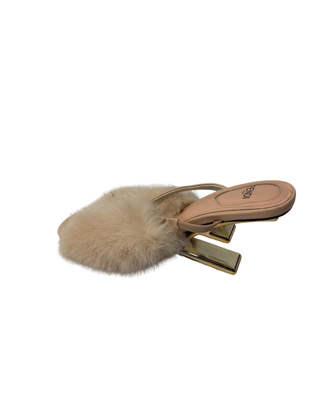 SH-00336-1310-SH-DS5001-back