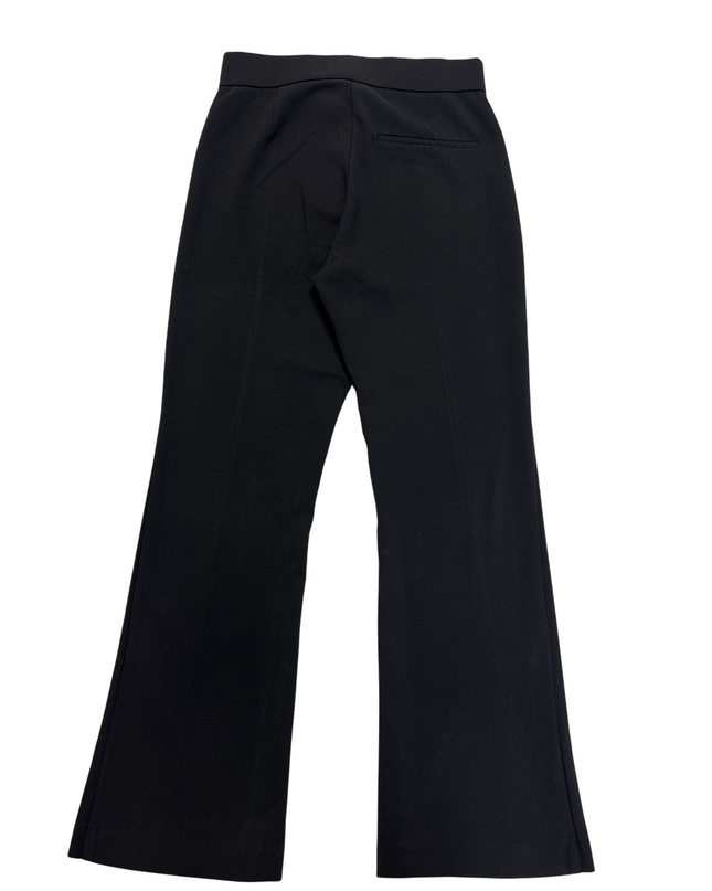 MC-06747-WPNTS-3PLGZ001-back