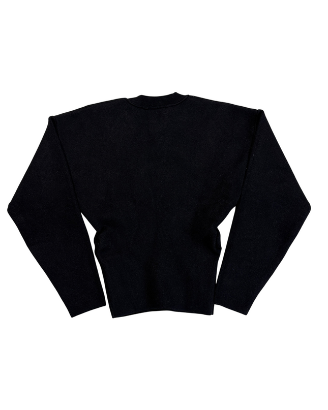 MC-09506-1437-3PHL6-002-back